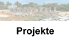 Projekte